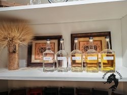 13.12.2025 Туристический поезд в Болдино - Кемлю