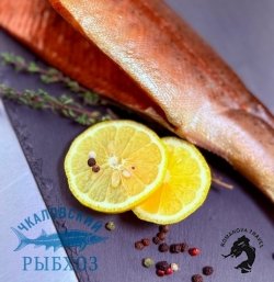 02.05.2026 Чкаловск - Пурех