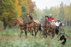 13.07.2025 Усадьба Кописки «Богдарня»