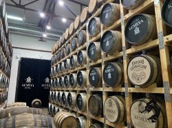 07.03.2026 Кемля 18+