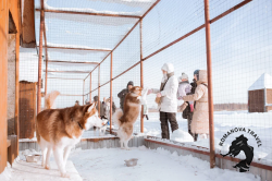 06.01.2025 Бабушкино, эко ферма