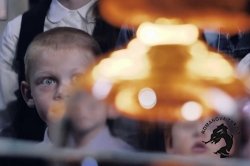 31.01.2026 Гусь-Хрустальный - Иванищи