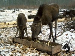 04.01.2026 Кострома
