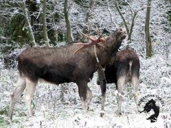 04.01.2026 Кострома