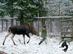 04.01.2026 Кострома