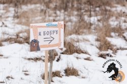 28.12.2025 Электричка в Простоквашино