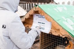 28.12.2025 Электричка в Простоквашино