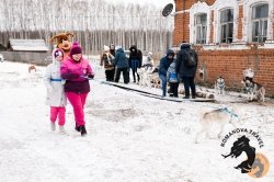 28.12.2025 Электричка в Простоквашино