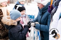 28.12.2025 Электричка в Простоквашино