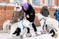 28.12.2025 Электричка в Простоквашино