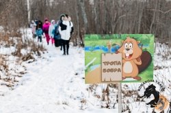 28.12.2025 Электричка в Простоквашино