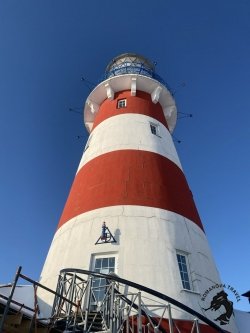 21-23.02.2026 Шумашь - Рязань - Константиново