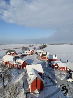 21-23.02.2026 Шумашь - Рязань - Константиново