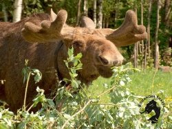 10.05.2026 Кострома