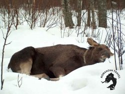 04.01.2026 Кострома