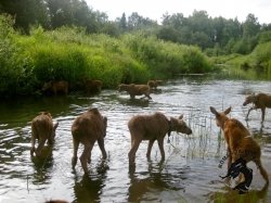 10.05.2026 Кострома
