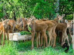 10.05.2026 Кострома