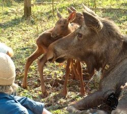 10.05.2026 Кострома