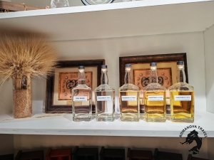 13.12.2025 Туристический поезд в Болдино - Кемлю