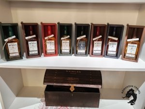 13.12.2025 Туристический поезд в Болдино - Кемлю