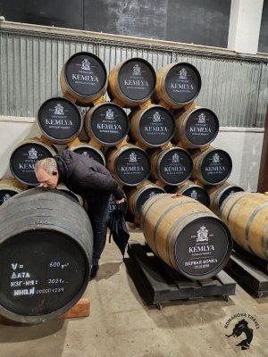 13.12.2025 Туристический поезд в Болдино - Кемлю