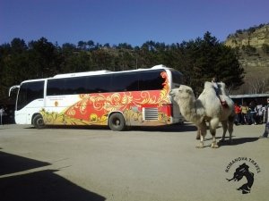 30.12.2024-04.01.2025 Кавказские Минеральные воды. &quot;Лесная Поляна&quot;