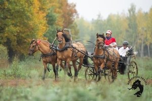 13.07.2025 Усадьба Кописки «Богдарня»