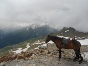22-27.04.2025 Кавказские Минеральные воды