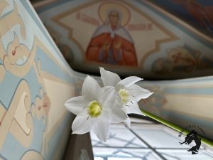 13.06.2026 Белбаж