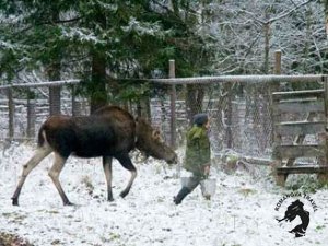04.01.2026 Кострома