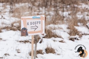 28.12.2025 Электричка в Простоквашино