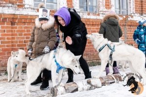 28.12.2025 Электричка в Простоквашино
