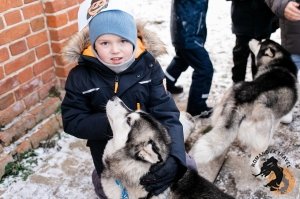28.12.2025 Электричка в Простоквашино