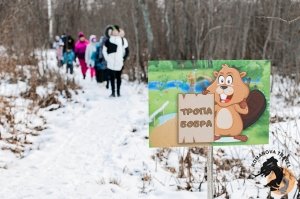 28.12.2025 Электричка в Простоквашино