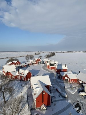 21-23.02.2026 Шумашь - Рязань - Константиново