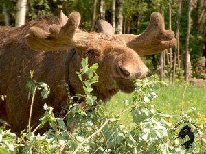 10.05.2026 Кострома