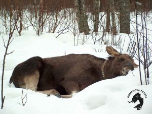 04.01.2026 Кострома