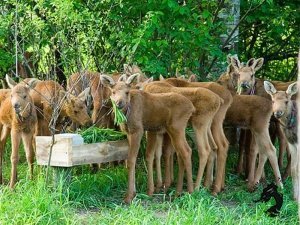 10.05.2026 Кострома