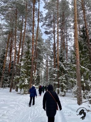 07.01.2025 Заповедник зубров + Гороховец и дегустация