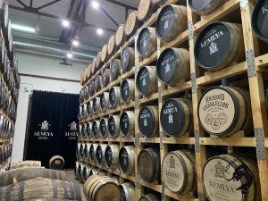 13.12.2025 Туристический поезд в Болдино - Кемлю