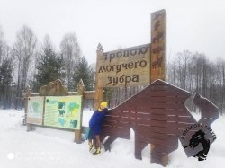 07.01.2025 Заповедник зубров + Гороховец и дегустация