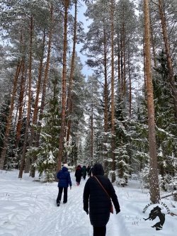 07.01.2025 Заповедник зубров + Гороховец и дегустация