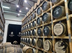 13.12.2025 Туристический поезд в Болдино - Кемлю